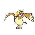Pidgeot